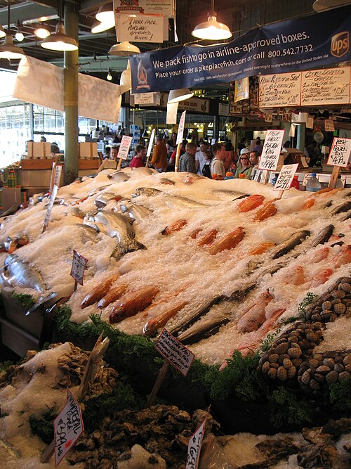 Reef Cod (Grouper)